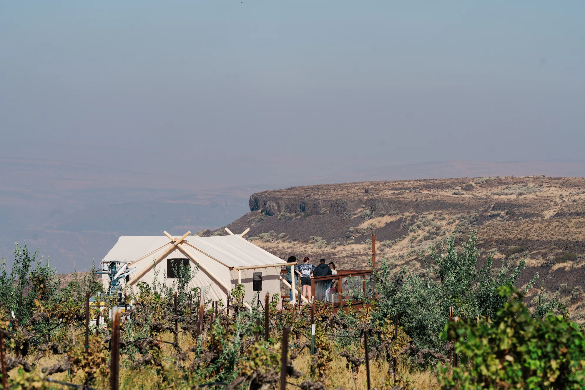 vineyard-at-the-gorge-glamping-9